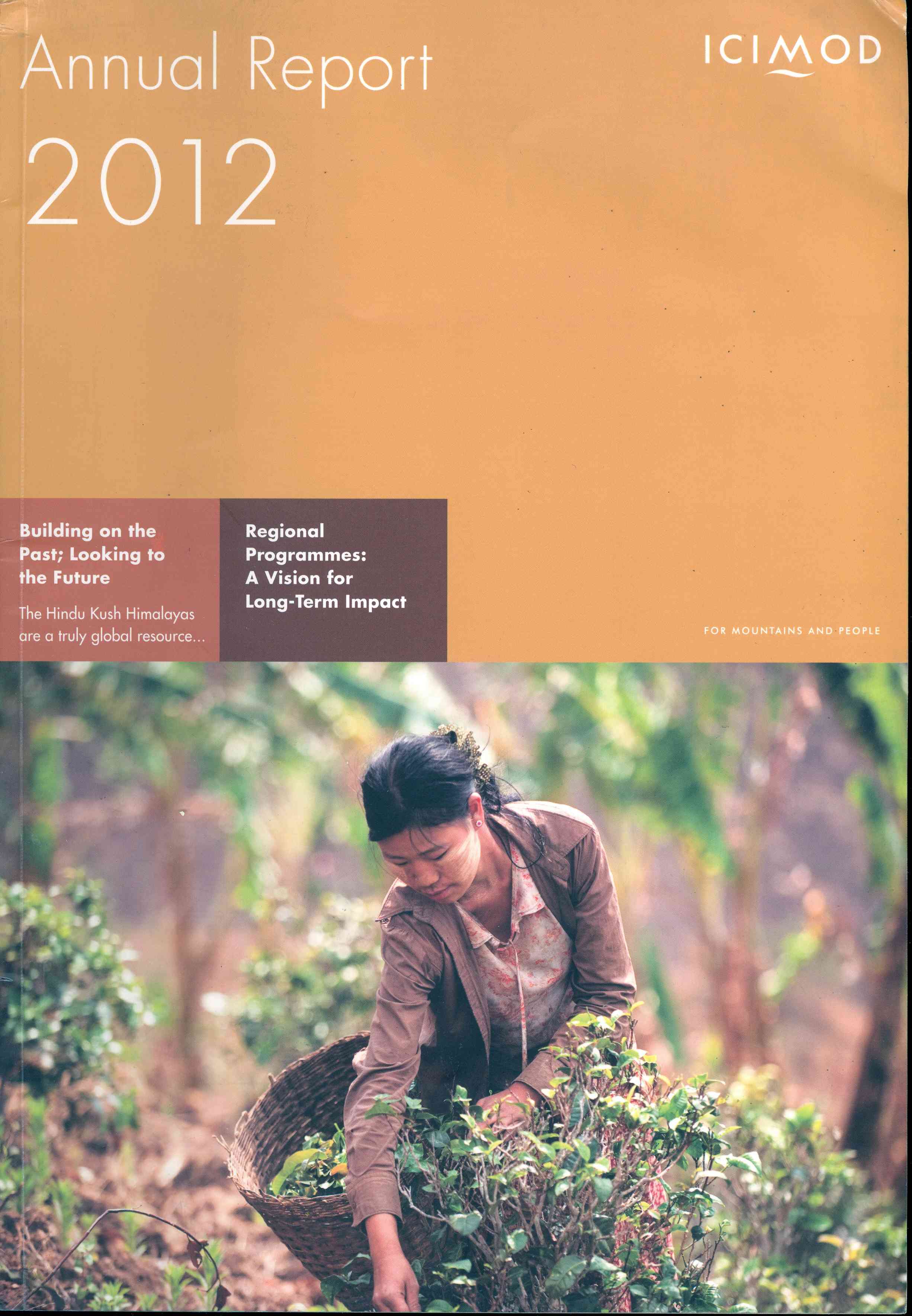 Обложка Annual Report 2012