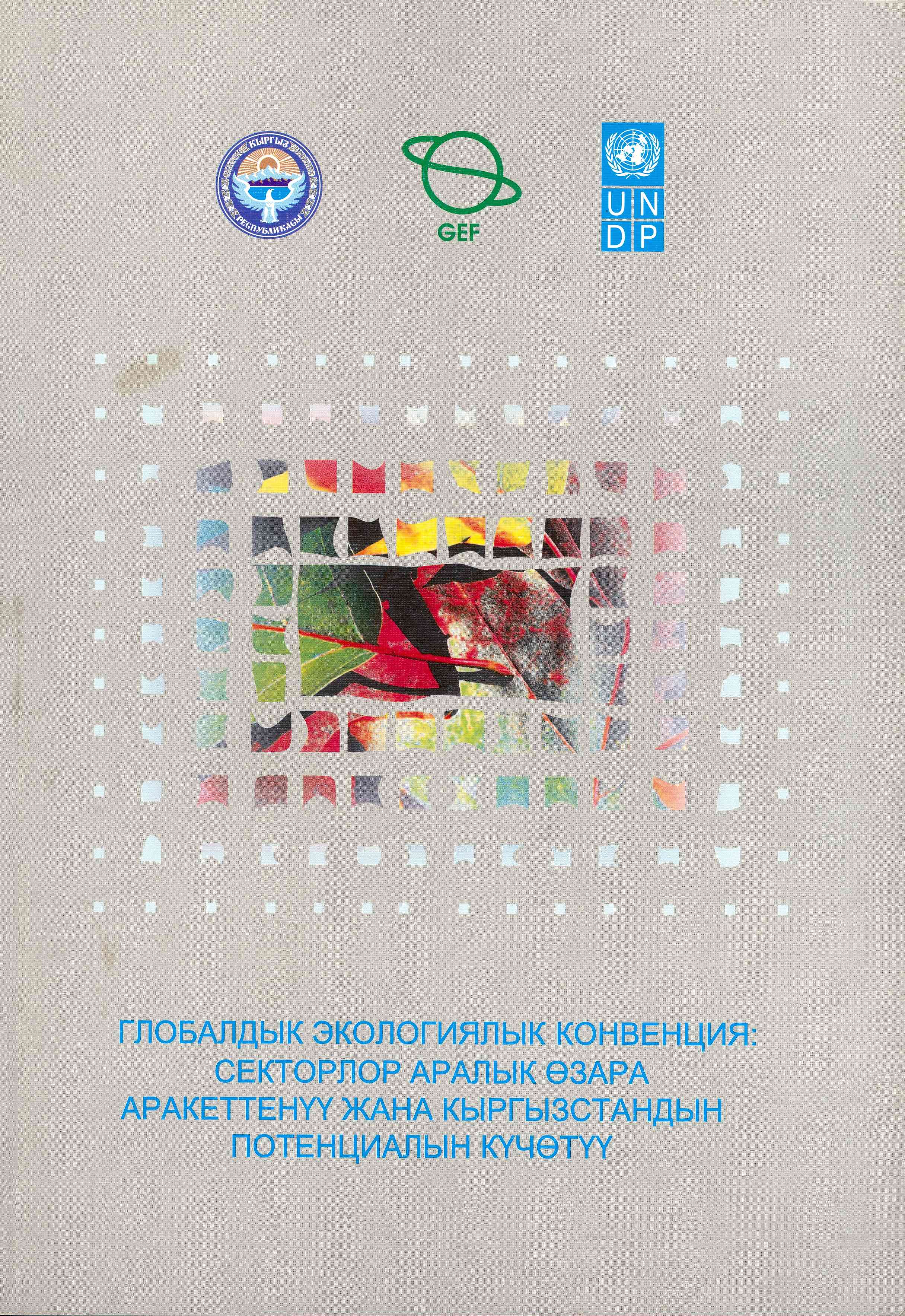 Обложка Глобалдык экологиялык конвенция: секторлор аралык озара аракеттенуу жана Кыргызстандын потенциалын кучотуу